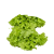 lettuce