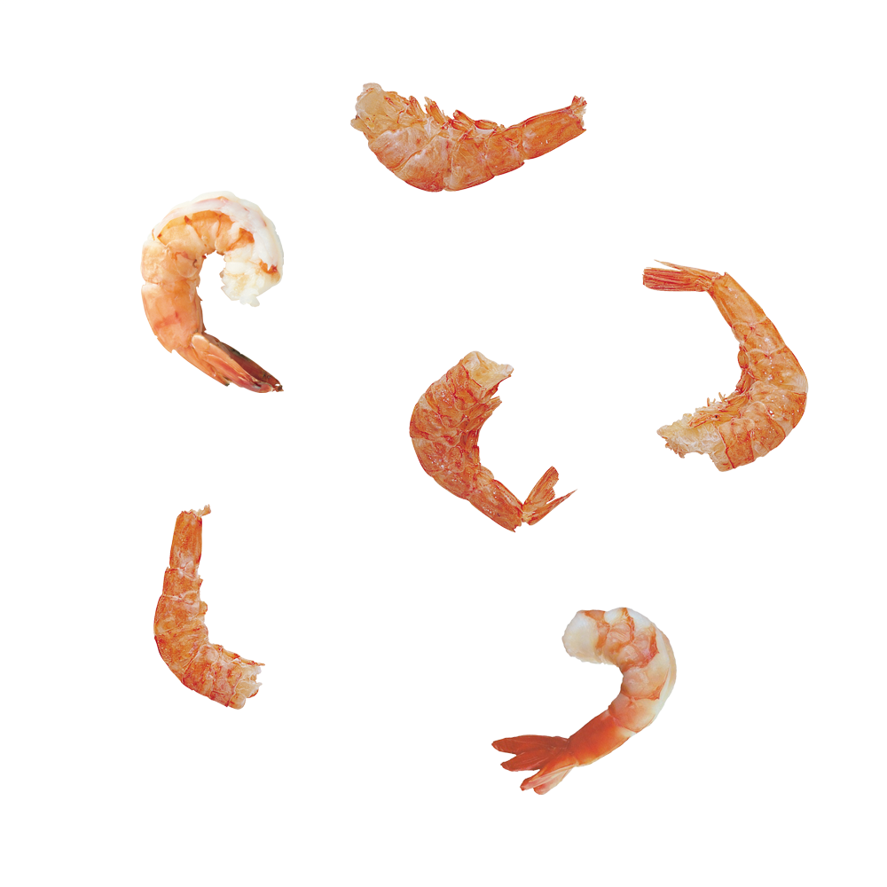 shrimp