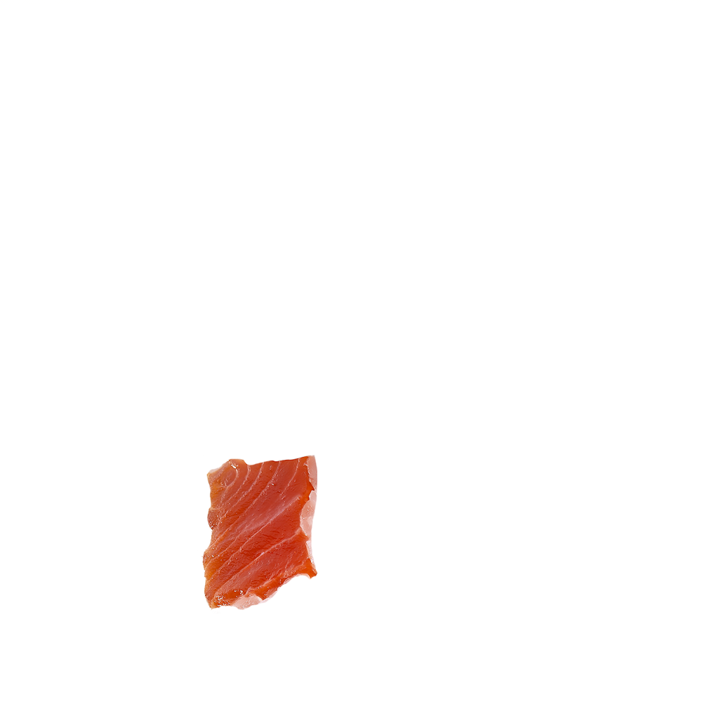 salmon