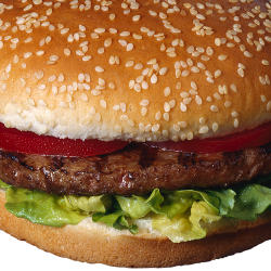Hamburger