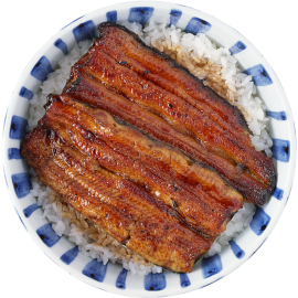 Unagi with rice