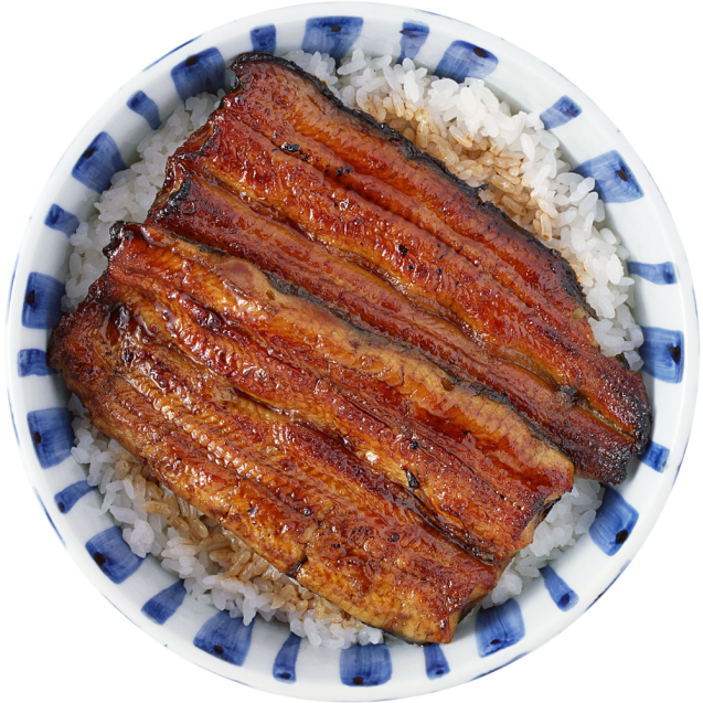 Unagi with rice