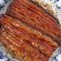Unagi with rice
